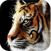 Big Cats Live Wallpapers for Android