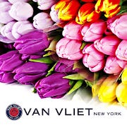 Van VLIET New York for Android