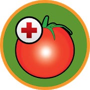 Tomato diseases for Android