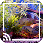 Aquarium for Chromecast TV for Android