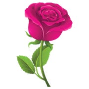 Rosas Pegatinas - WAStickerApps for Android