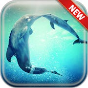 Dolphin Wallpapers for Android