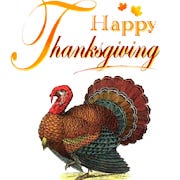 Happy Thanksgiving Wishes Gif for Android