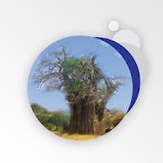 Afrika Baobab for Android